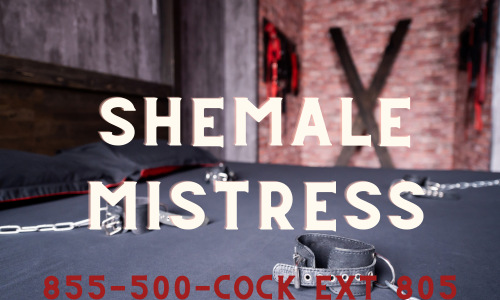 Shemale Mistress Controls You