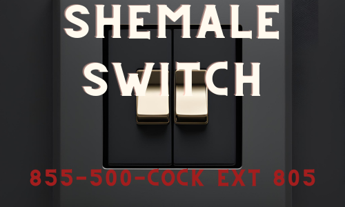 The Switch is On: Unleashing My Inner Shemale Dominatrix and Submissive